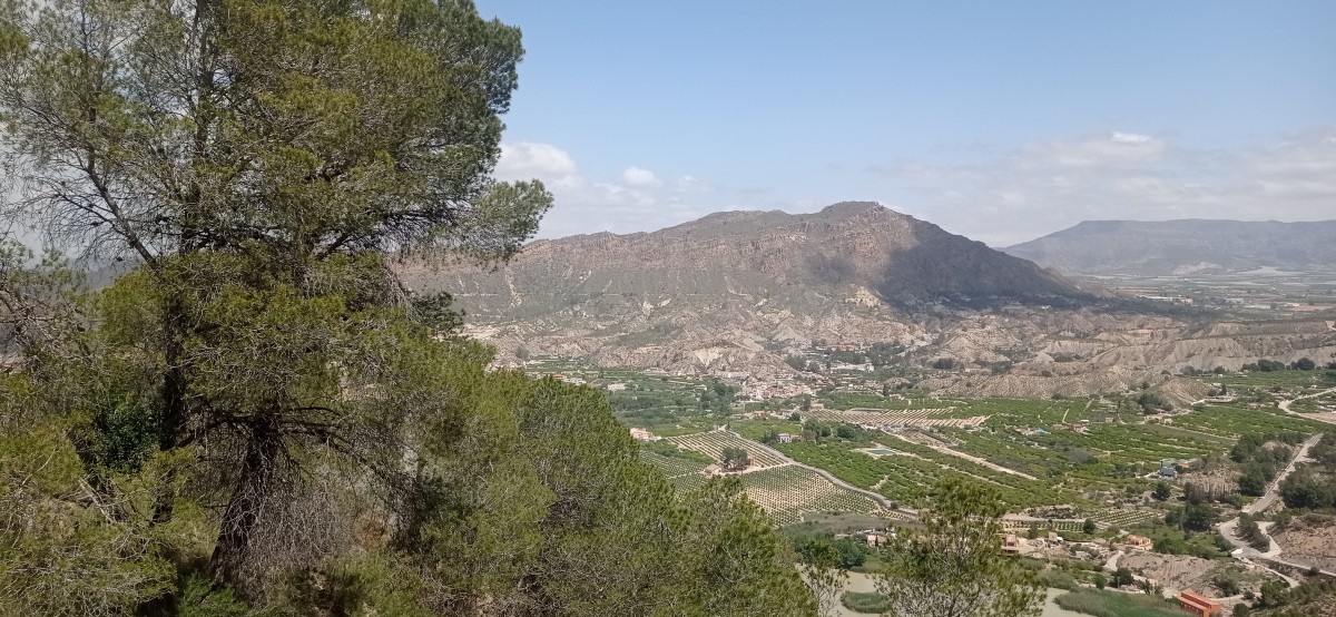 20250501_124755.jpg