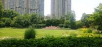 20250529_120158.jpg