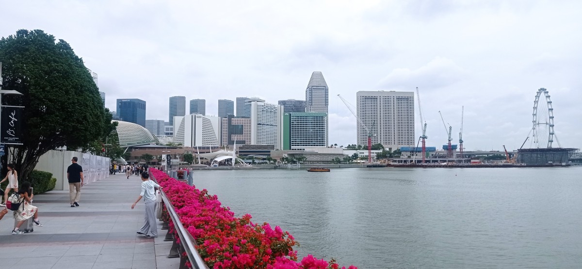 20260212_103854.jpg