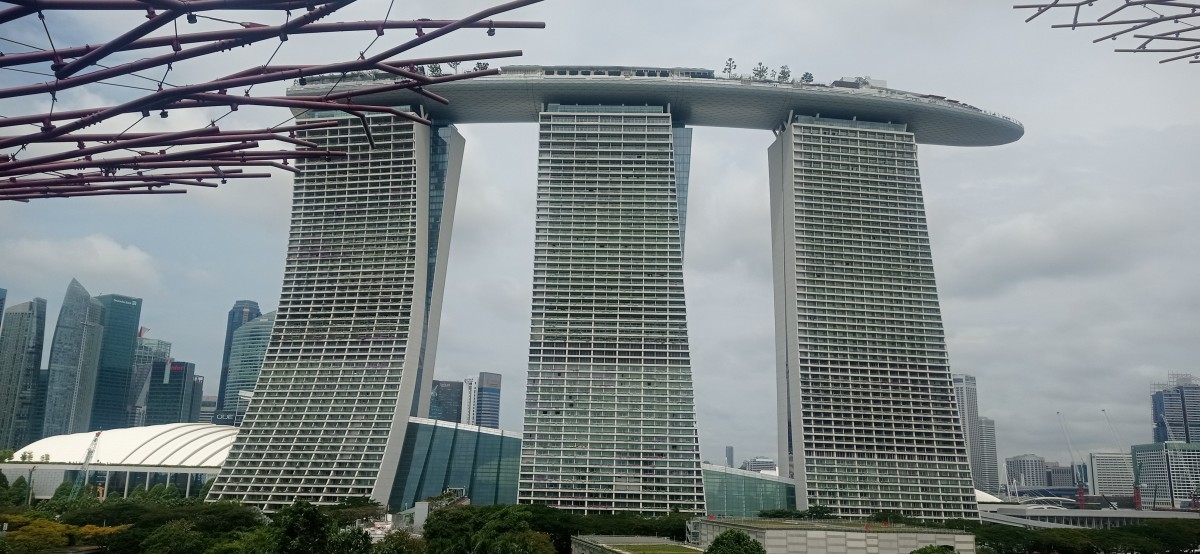 20260212_114924.jpg