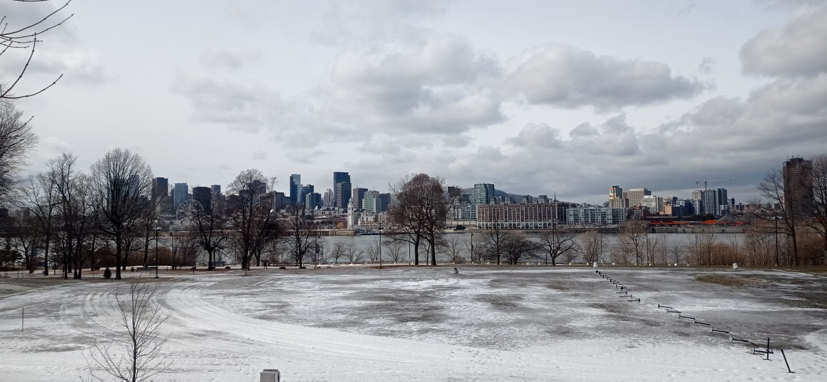 20260313_122342.jpg