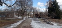 20260313_111302.jpg