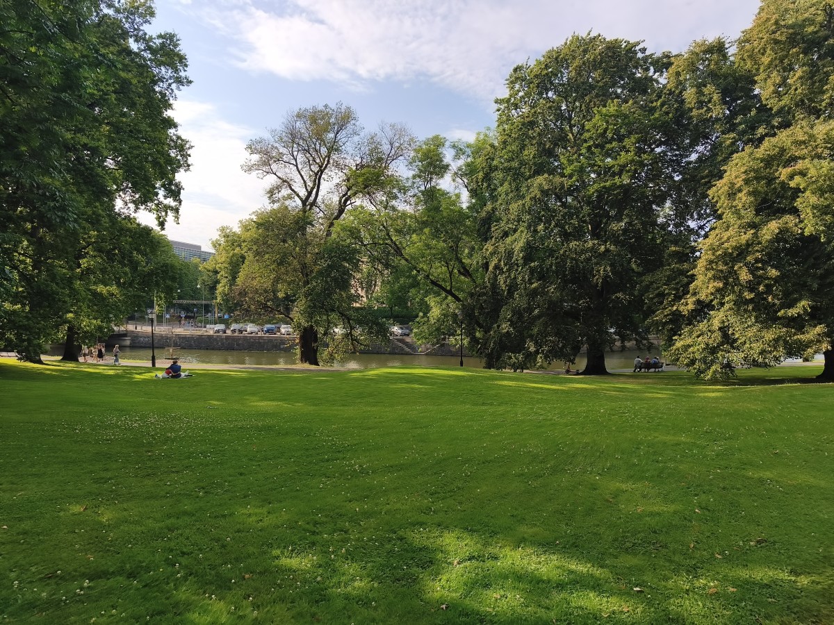 20260717_181207.jpg