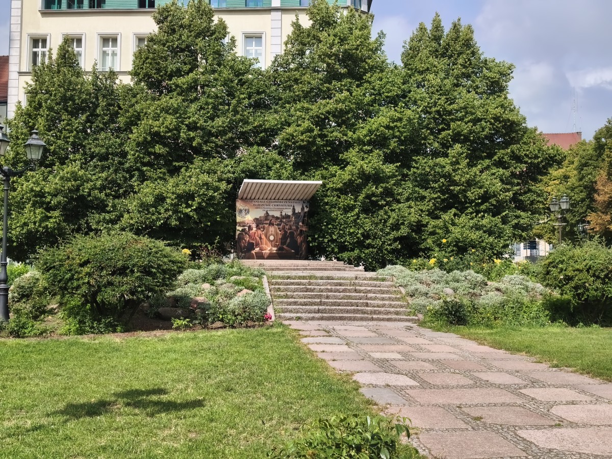 20260731_101110.jpg